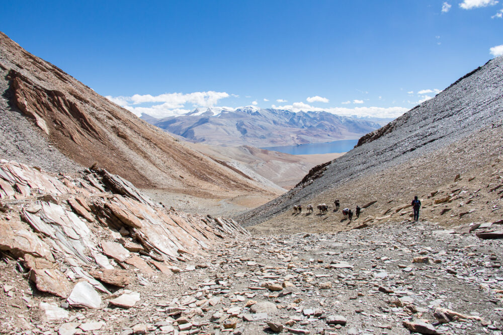 Ladakh 4/4 – Entre les deux lacs, là où brillent les montagnes