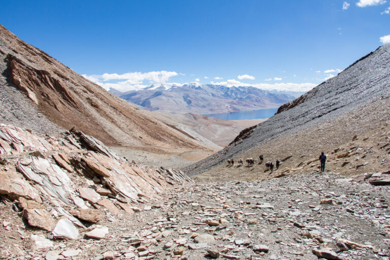 Lire la suite à propos de l’article Ladakh 4/4 – Entre les deux lacs, là où brillent les montagnes