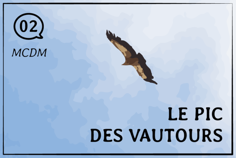 Lire la suite à propos de l’article Guitare folk et vautours – nouveau carnet sonore !