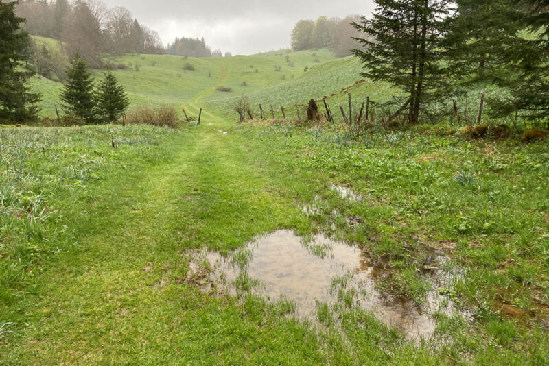 Lire la suite à propos de l’article Il pleut, il mouille dans le Jura