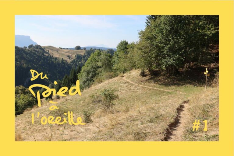 Lire la suite à propos de l’article Dans les Bauges avec mon micro