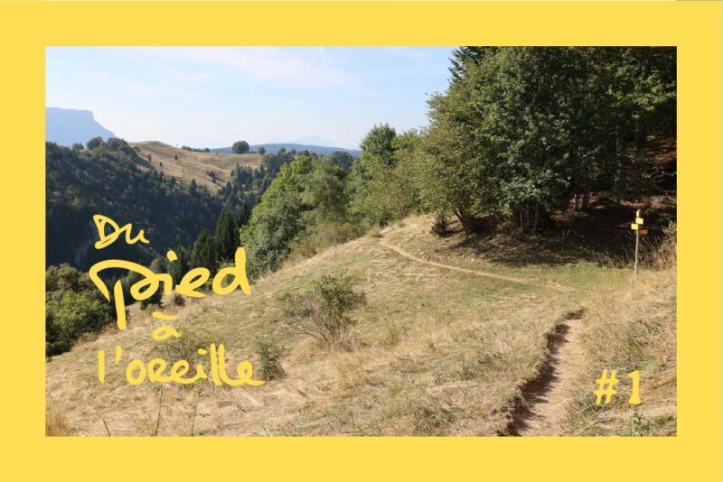 Lire la suite à propos de l’article Dans les Bauges avec mon micro