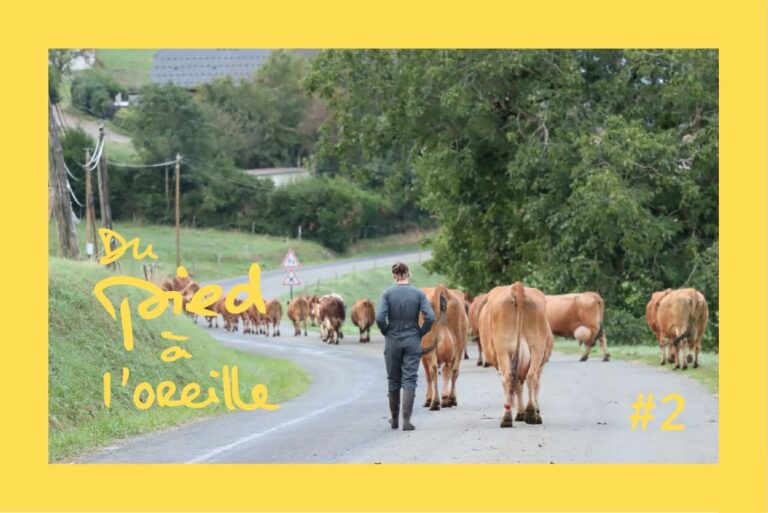 Lire la suite à propos de l’article 6 jours à la ferme