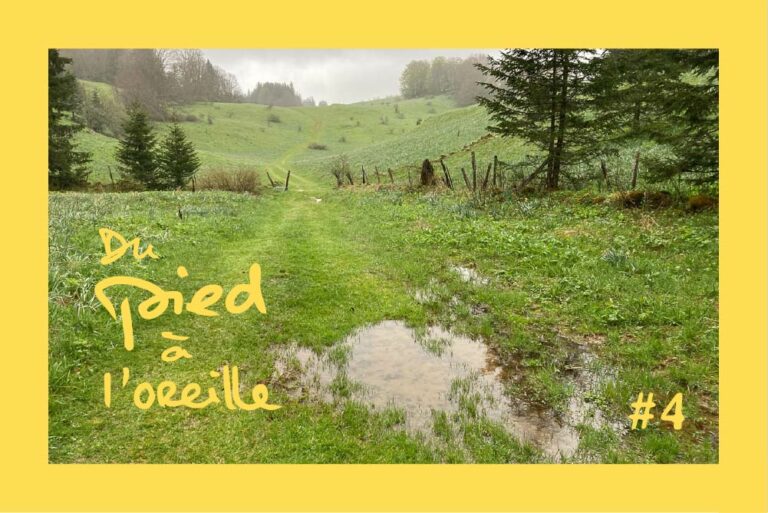 Lire la suite à propos de l’article La rando la plus humide de ma vie