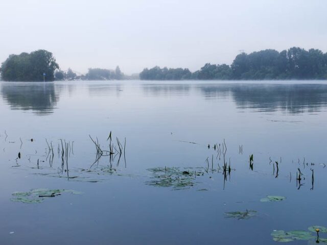 Marcher pour s’ancrer dans la réalité