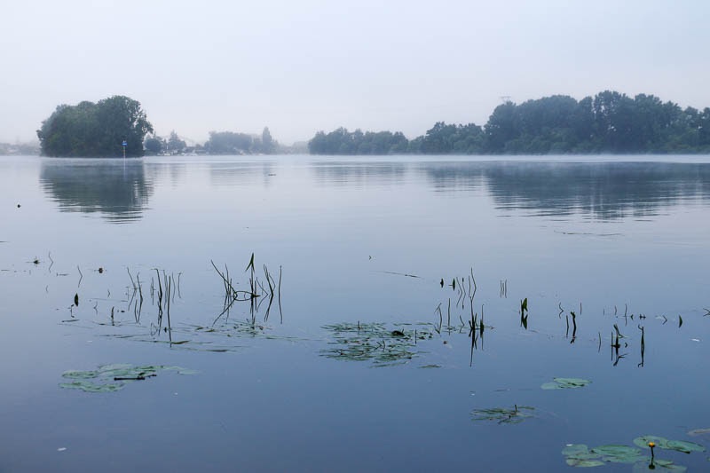 Marcher pour s’ancrer dans la réalité