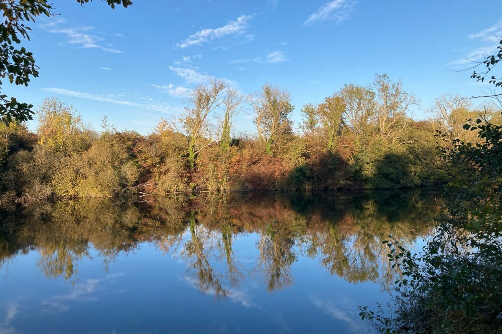 La Seine a bien changé