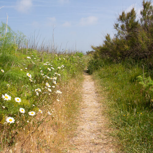 Série « Avec Rouletabosse » (carte postale x5)