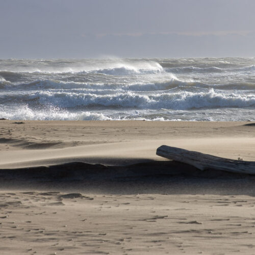Série « Écume » (carte postale x5)