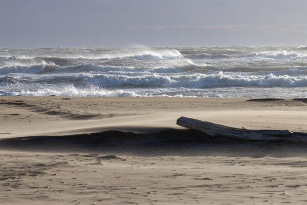 Série « Écume » (carte postale x5)