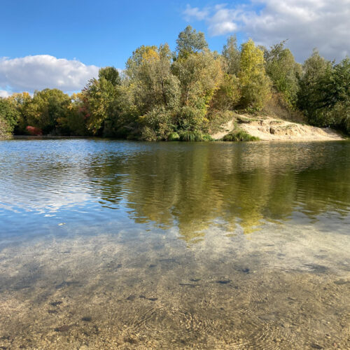 Série « La Seine » (carte postale x5)