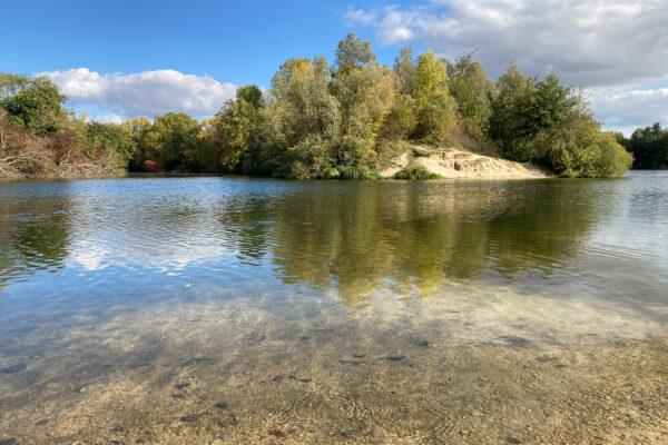 Série « La Seine » (carte postale x5)
