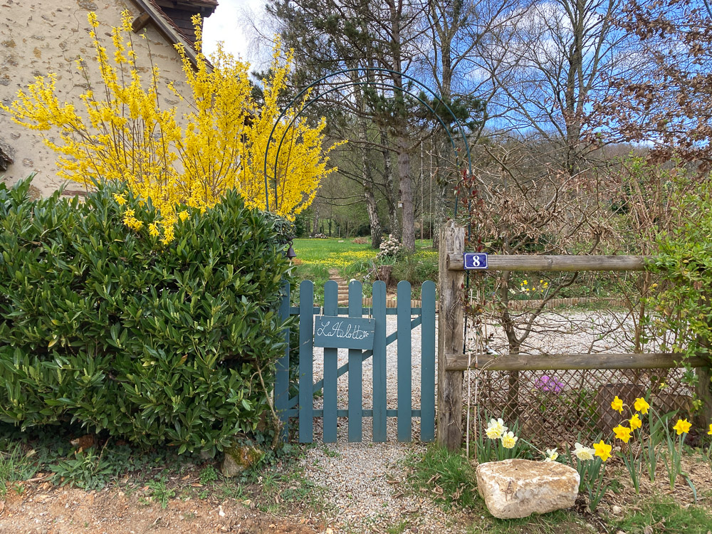 Série "L'arrivée du printemps" (carte postale x5) – Image 3