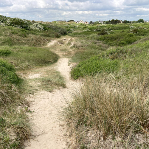 Série « Littoral normand » (carte postale x5)