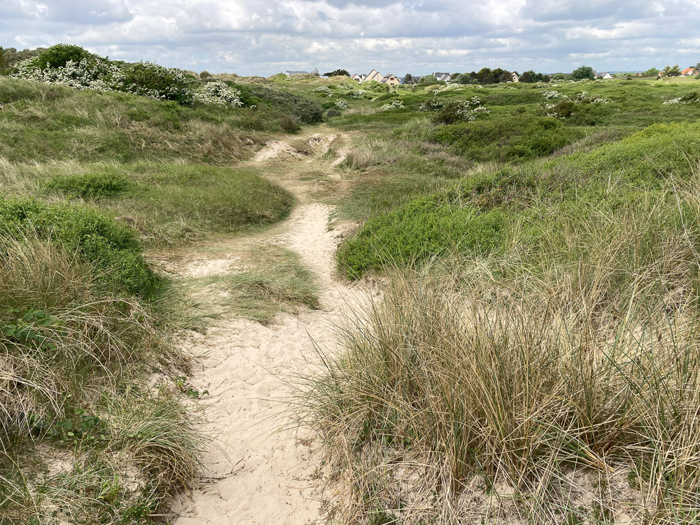 Série "Littoral normand" (carte postale x5)