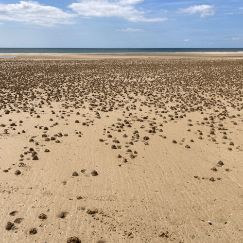 Série « Littoral normand » (carte postale x5)