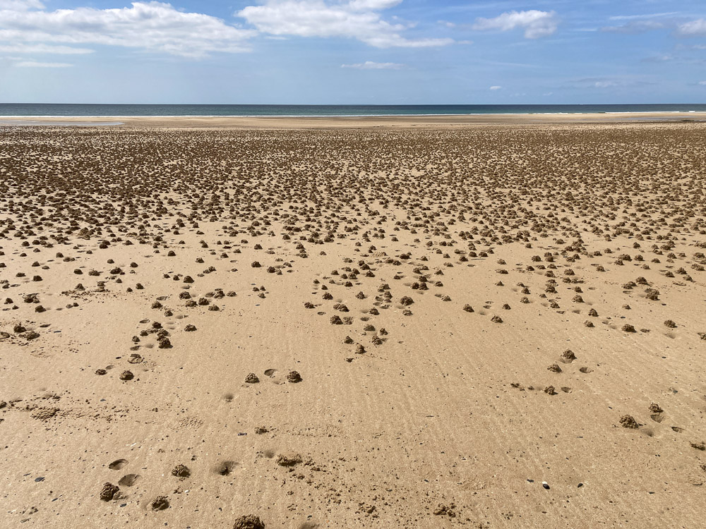 Série "Littoral normand" (carte postale x5) – Image 2
