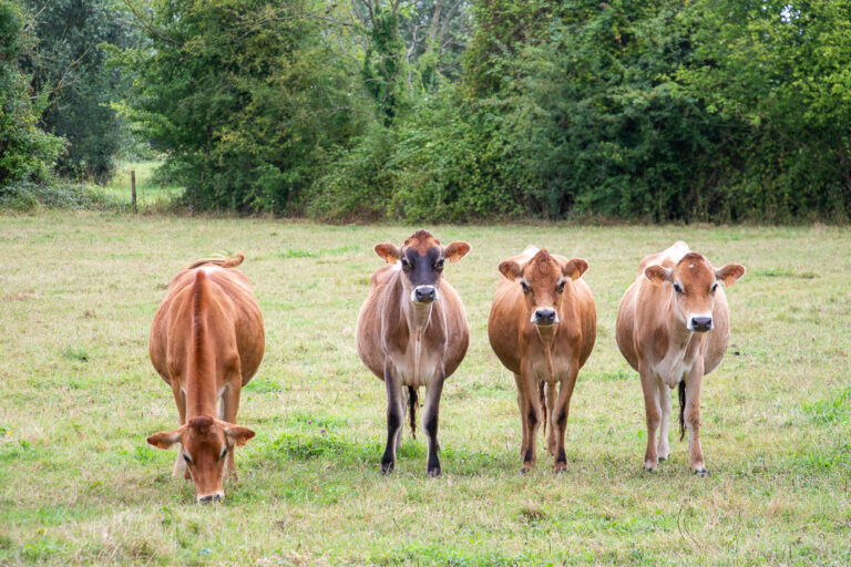 Lire la suite à propos de l’article 🖼️ Tirages photo 📷