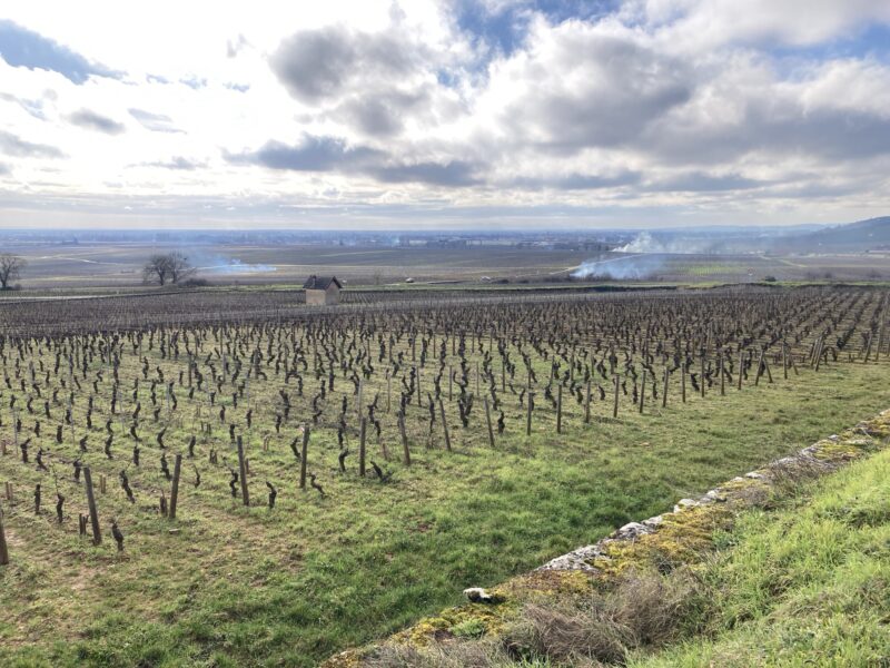 Lire la suite à propos de l’article La presse locale de la Côte-d’Or en parle !