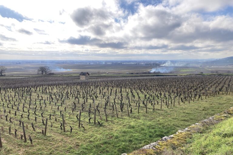 Lire la suite à propos de l’article La presse locale de la Côte-d’Or en parle !