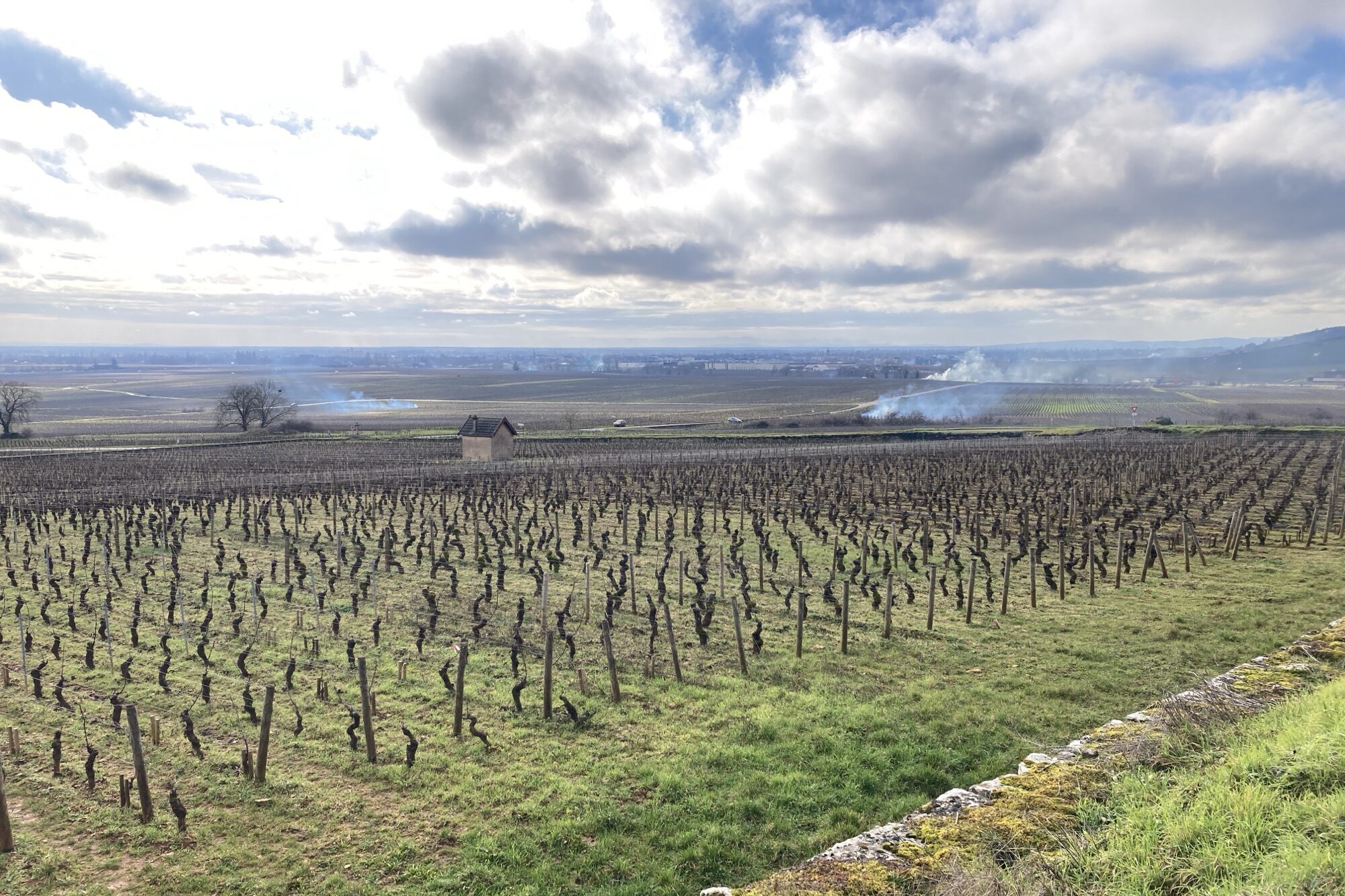 La presse locale de la Côte-d’Or en parle !