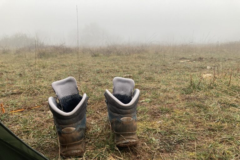 Lire la suite à propos de l’article Des vignes de Bourgogne jusqu’aux collines de la Drôme